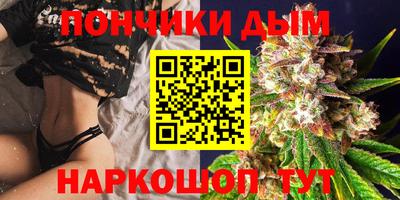 амф Новодвинск