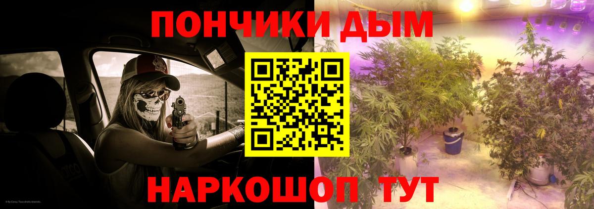 Чусовой  Шишки марихуана план  Каннабис сатива  Вход с VPN 